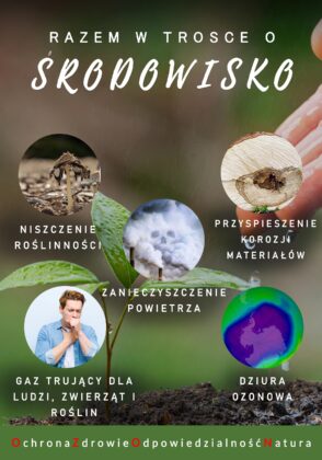 Viktoriia Denysenko, Kinga Widurska, Sandra Taczyńska - Współczesne problemy ekologiczne